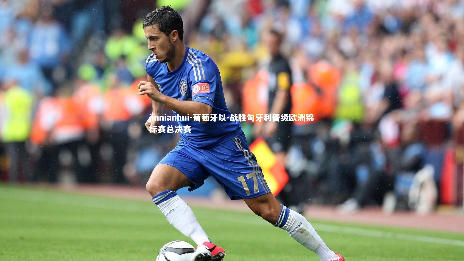 葡萄牙以-战胜匈牙利晋级欧洲锦标赛总决赛