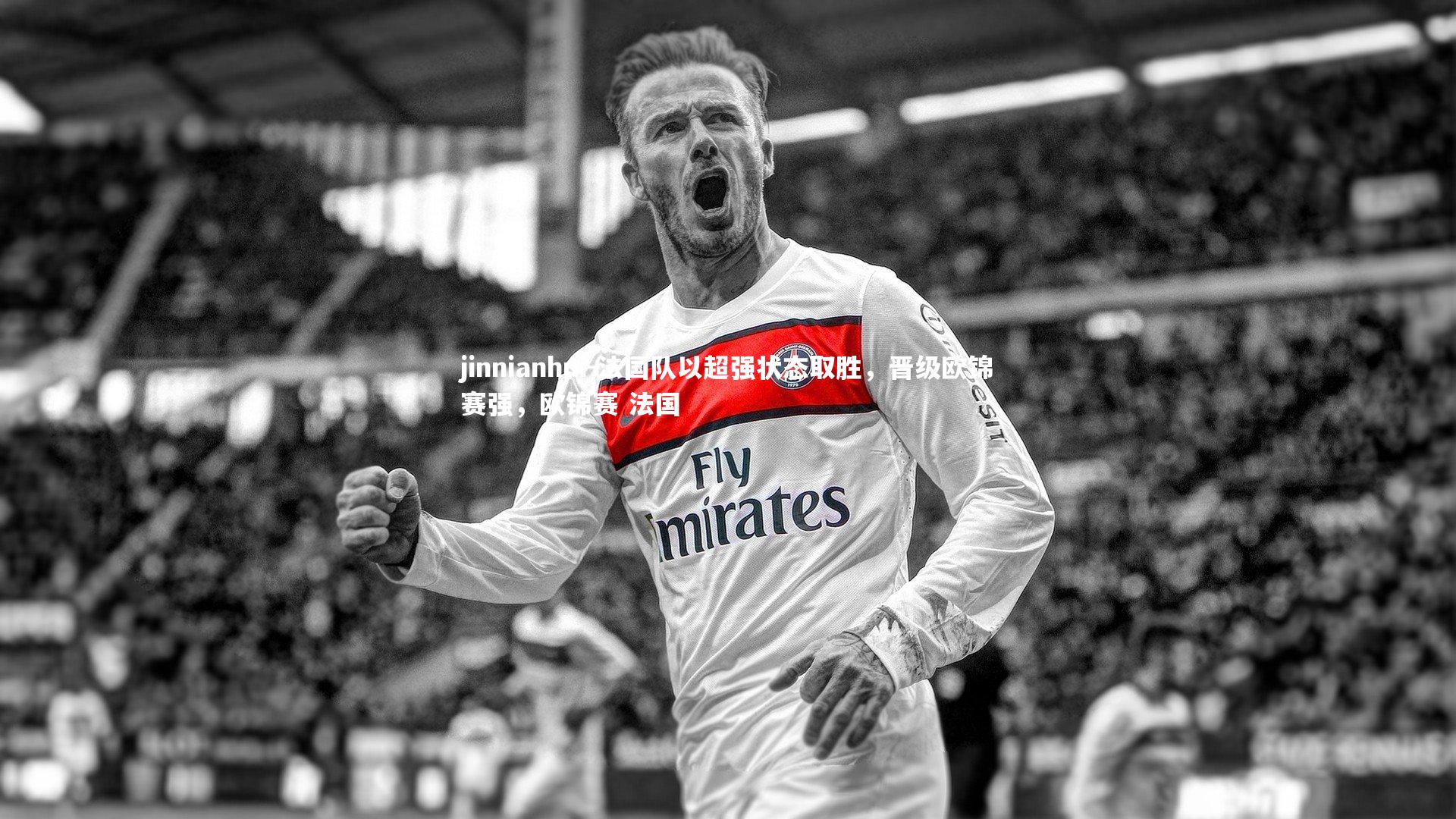 jinnianhui-法国队以超强状态取胜，晋级欧锦赛强，欧锦赛 法国